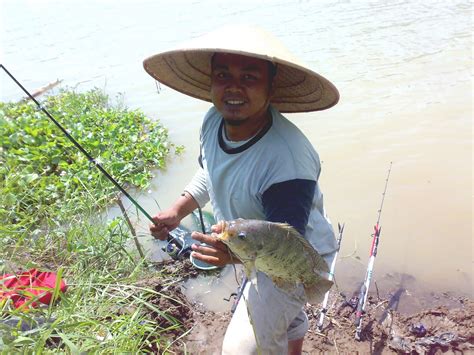 cara mancing ikan nila di sungai